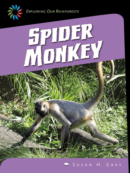 Title details for Spider Monkey by Susan H. Gray - Wait list